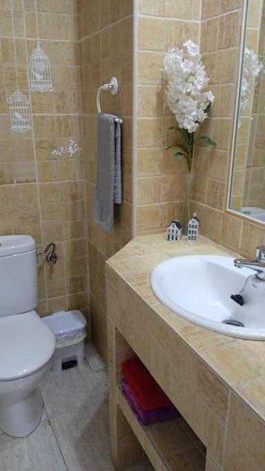Bonito Apartamento Jv36 Lejlighed Córdoba Eksteriør billede